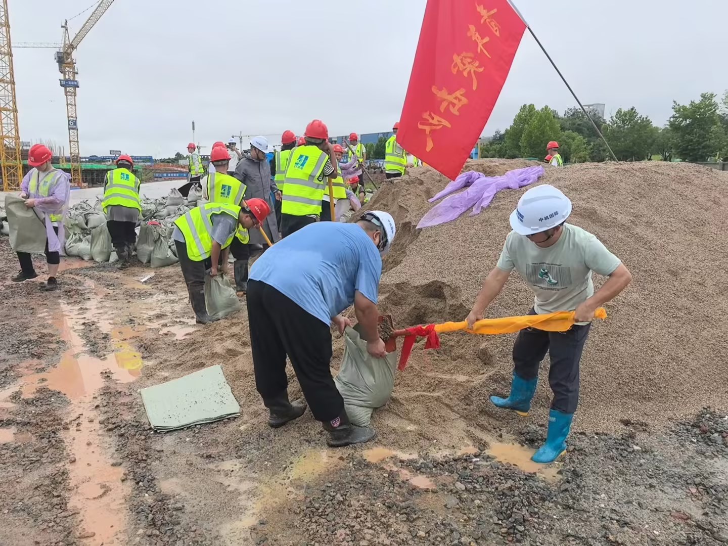 图片关键词