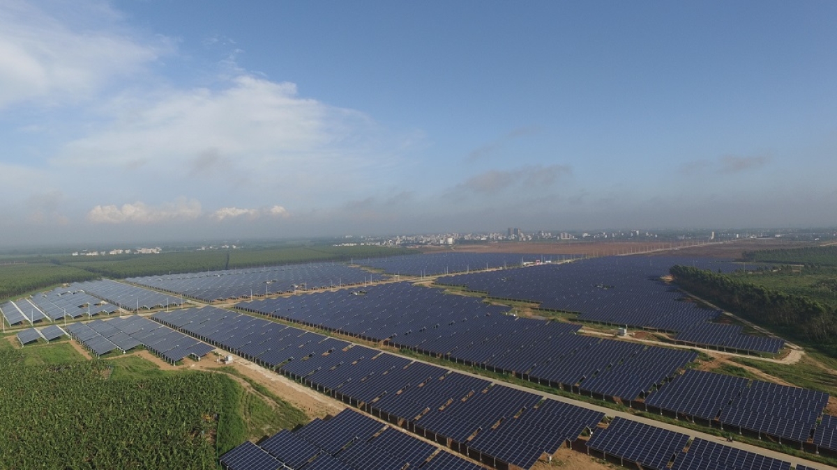  遂溪县遂西光伏农业综合利用项目（一期40MW）光伏电站项目