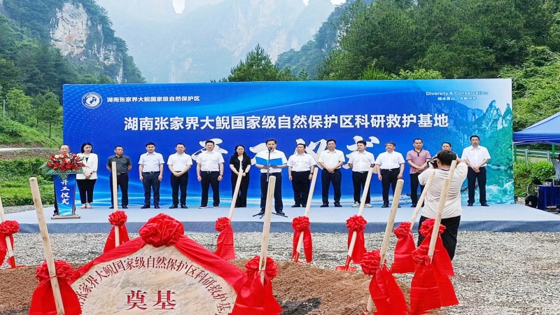仲夏当“燃”！中机国际两代建项目开工建设