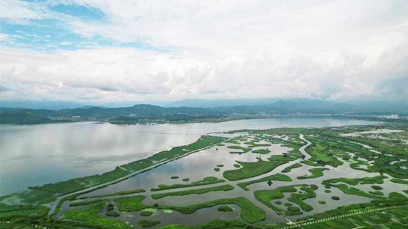 异龙湖生态修复典范：中机国际打造高原湖泊＂绿色屏障＂获国资委肯定