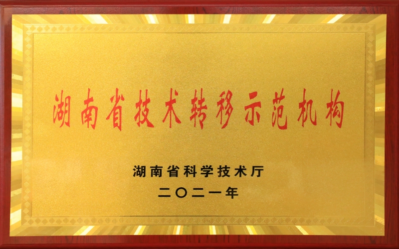 湖南省技术转移示范机构